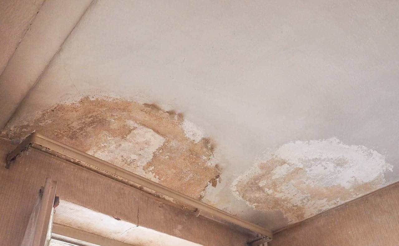 damaged wall because of moisture