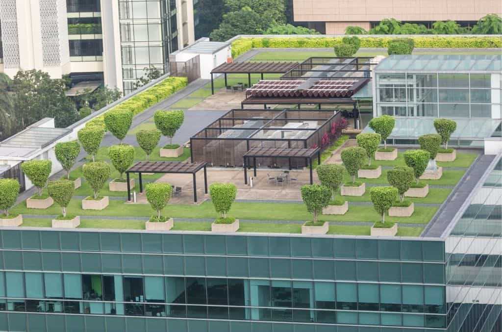 What Is A Green Roof? How to Build A Green Roof?