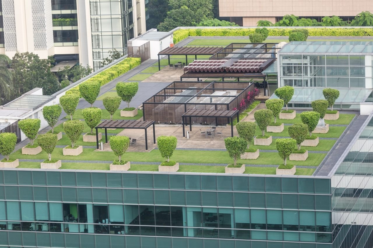 What Is A Green Roof How To Build A Green Roof Baumerk
