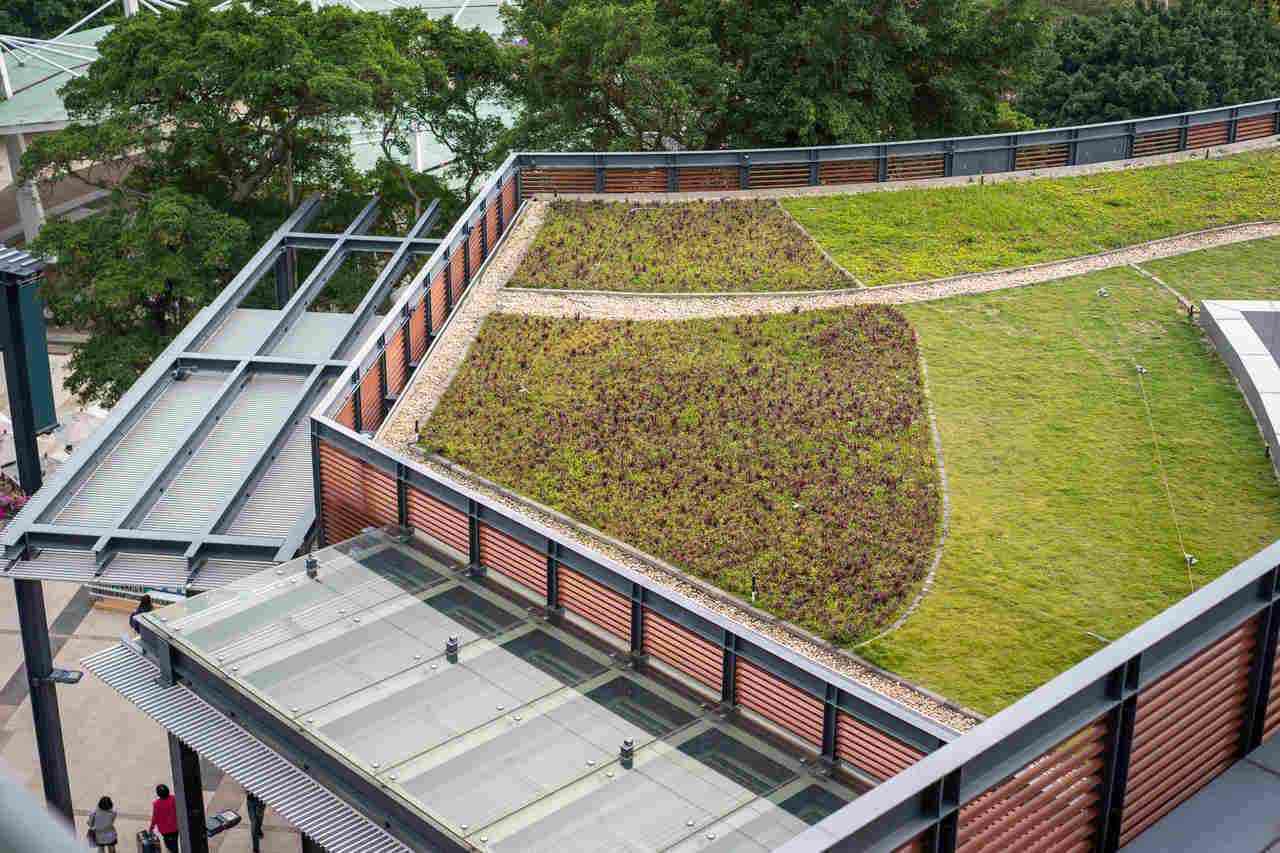 green roofin application