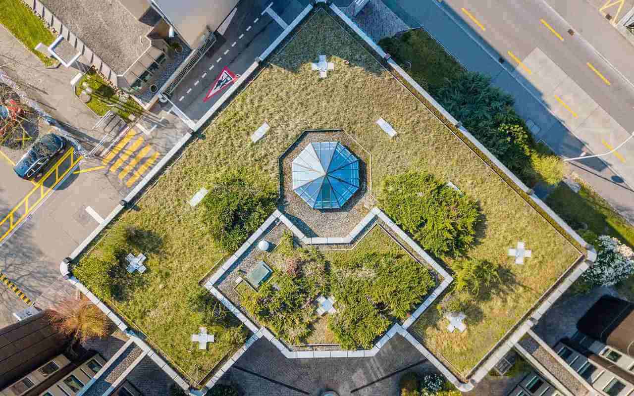 green roof