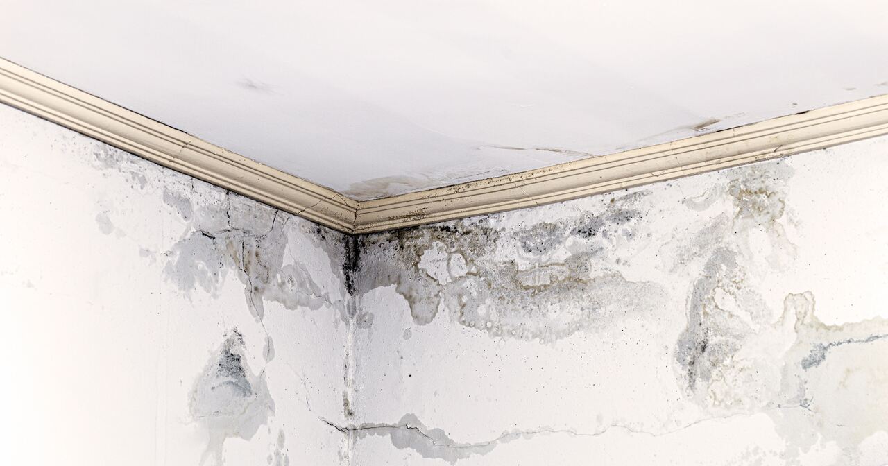 What Is Dampness? Why Does It Occur and How Can It Be Prevented?