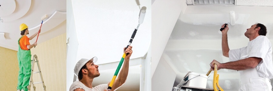 Ceiling Paint